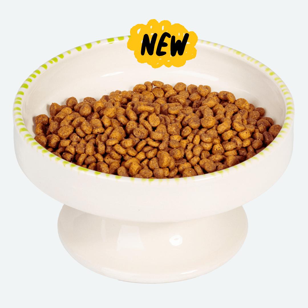 Comedero elevado de cerámica beige para gatos con detalles verdes, lleno de croquetas, diseño ergonómico y moderno.