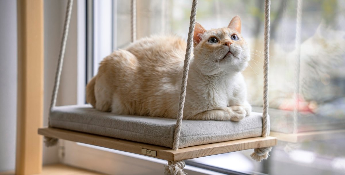 Columpio para Gatos LYMA | Madera con Diseño Elevado Premium 20 Columpio para Gatos LYMA | Madera con Diseño Elevado Premium 8