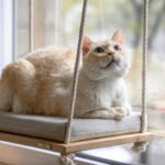 Columpio para gatos LYMA de madera con diseño elevado premium