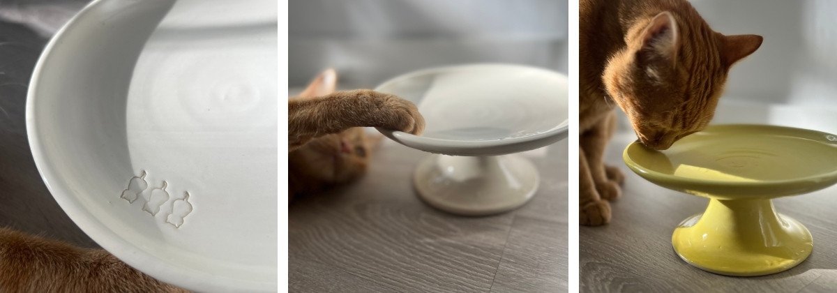 Primer plano del acabado brillante y bordes suaves de un plato elevado de ceramica para gatos LYMA