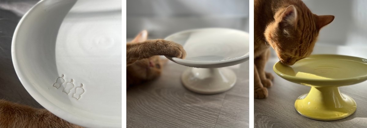 Plato Elevado Ceramica para Gatos LYMA | Antivomito - Ergonomico 27 Primer plano del acabado brillante y bordes suaves de un plato elevado de ceramica para gatos LYMA