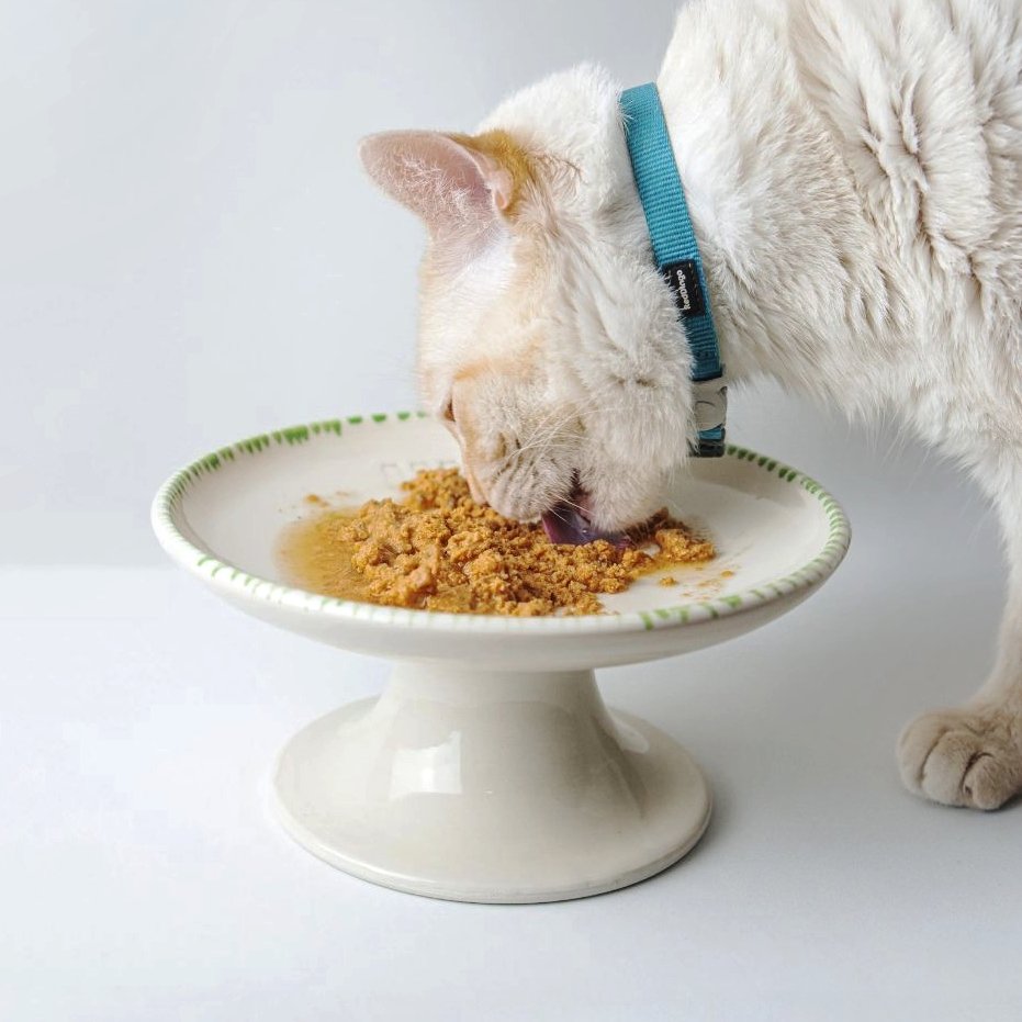 Gato comiendo en Plato elevado ceramica LYMA - diseno ergonomico y saludable