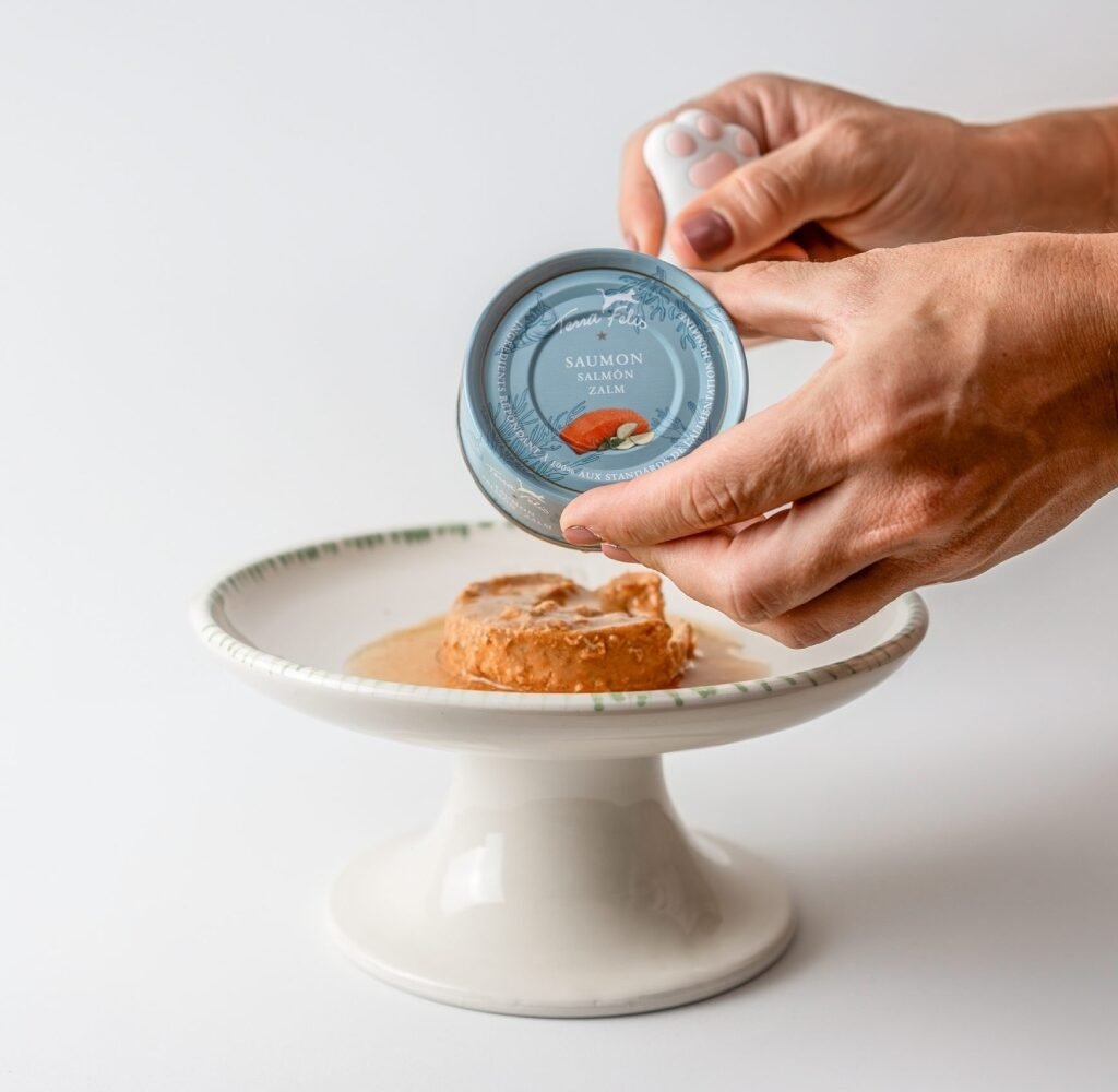 Plato Elevado Ceramica para Gatos LYMA | Antivomito - Ergonomico 22 sirviendo comida en plato elevado ceramica para gatos LYMA