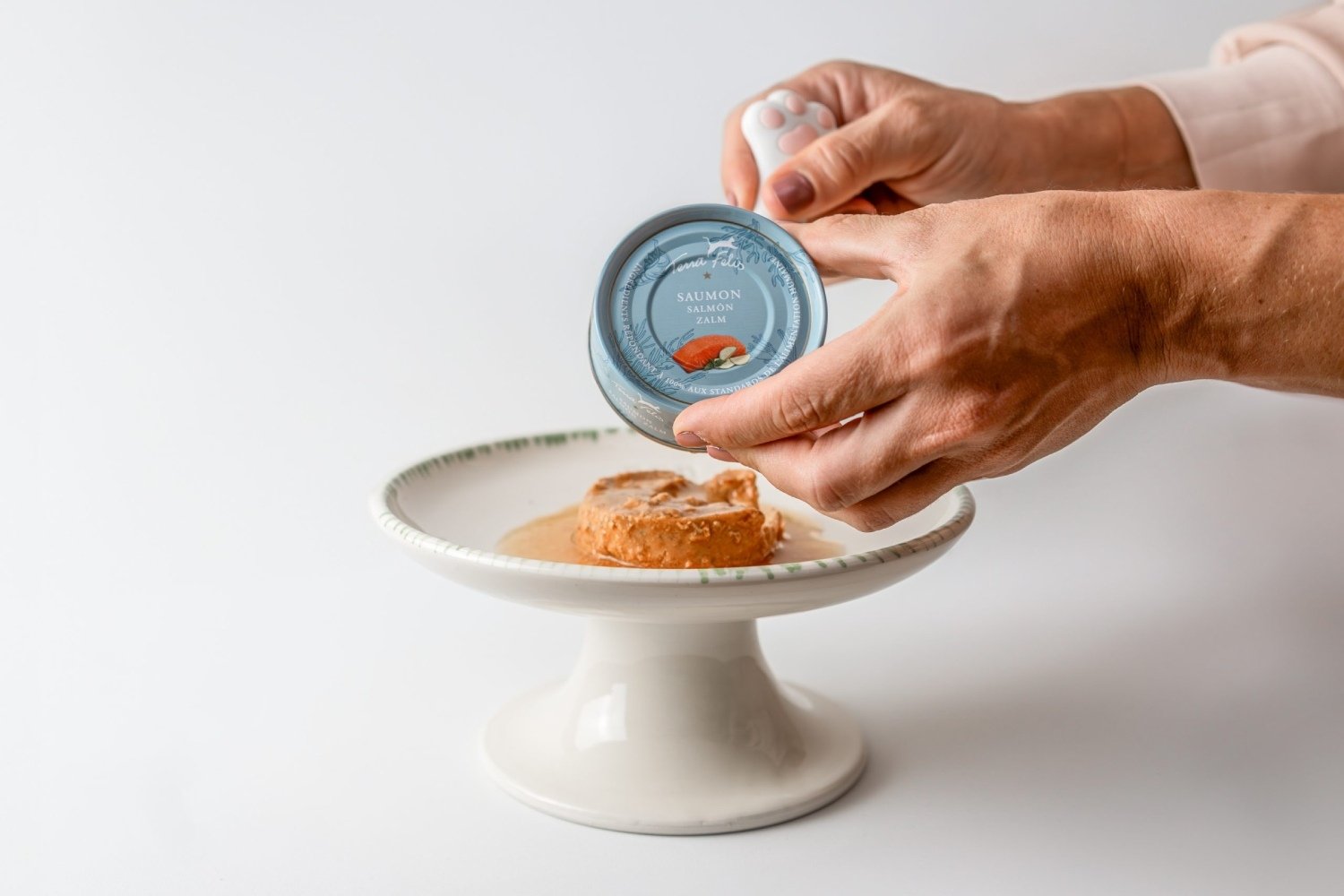 Plato Elevado Ceramica para Gatos LYMA | Antivomito - Ergonomico 10 sirviendo comida en plato elevado ceramica para gatos LYMA